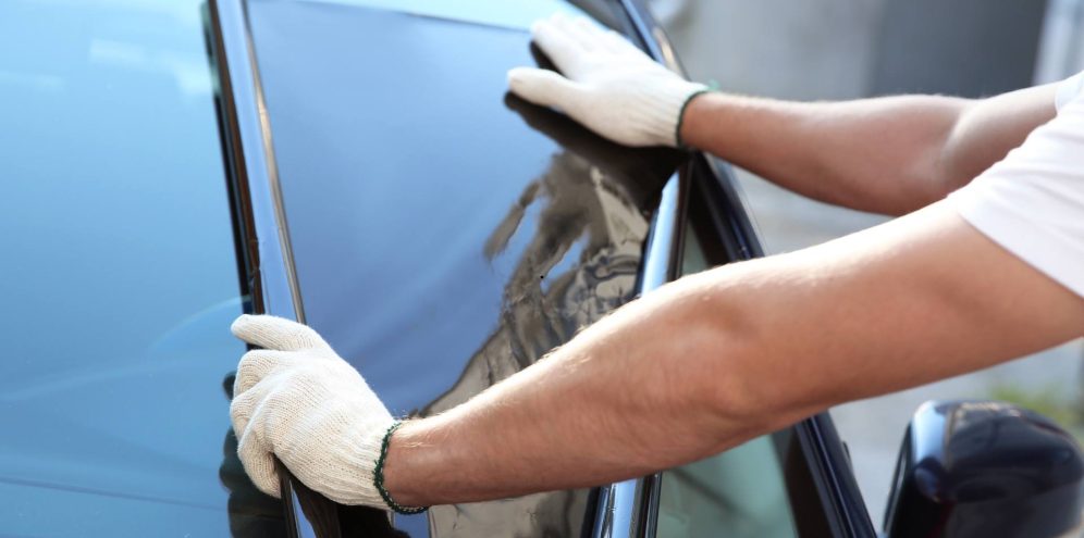 Untitled design (12)